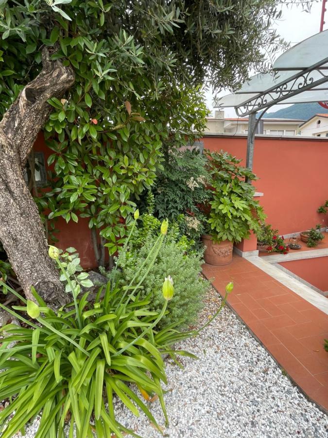 In Versilia Seravezza Extérieur photo