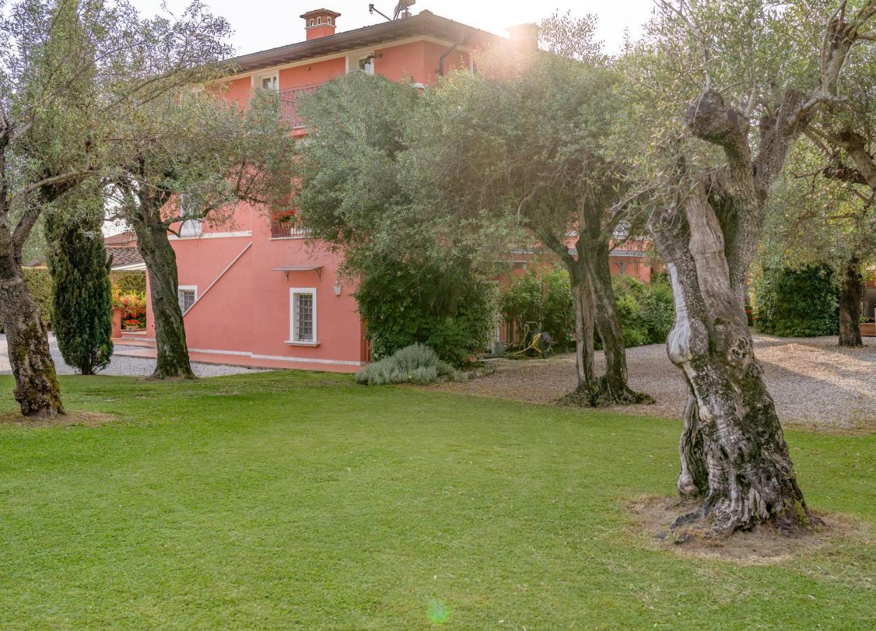 In Versilia Seravezza Extérieur photo